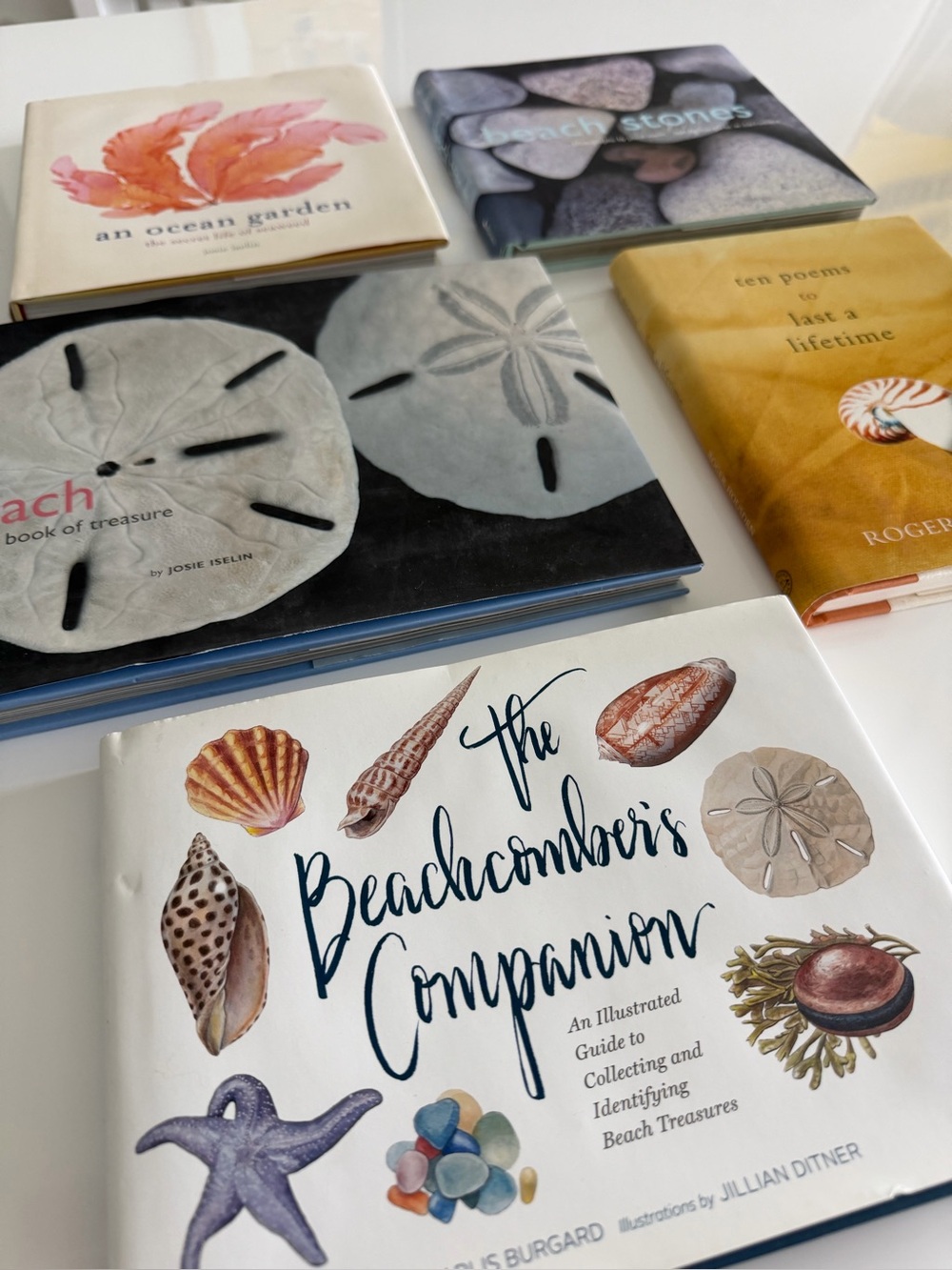 Set of 5 beachy coastal books - Picture 2 of 2